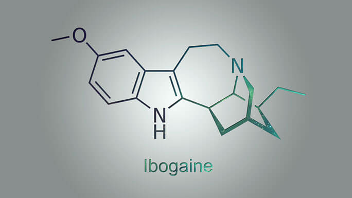 Ibogaine treatment program